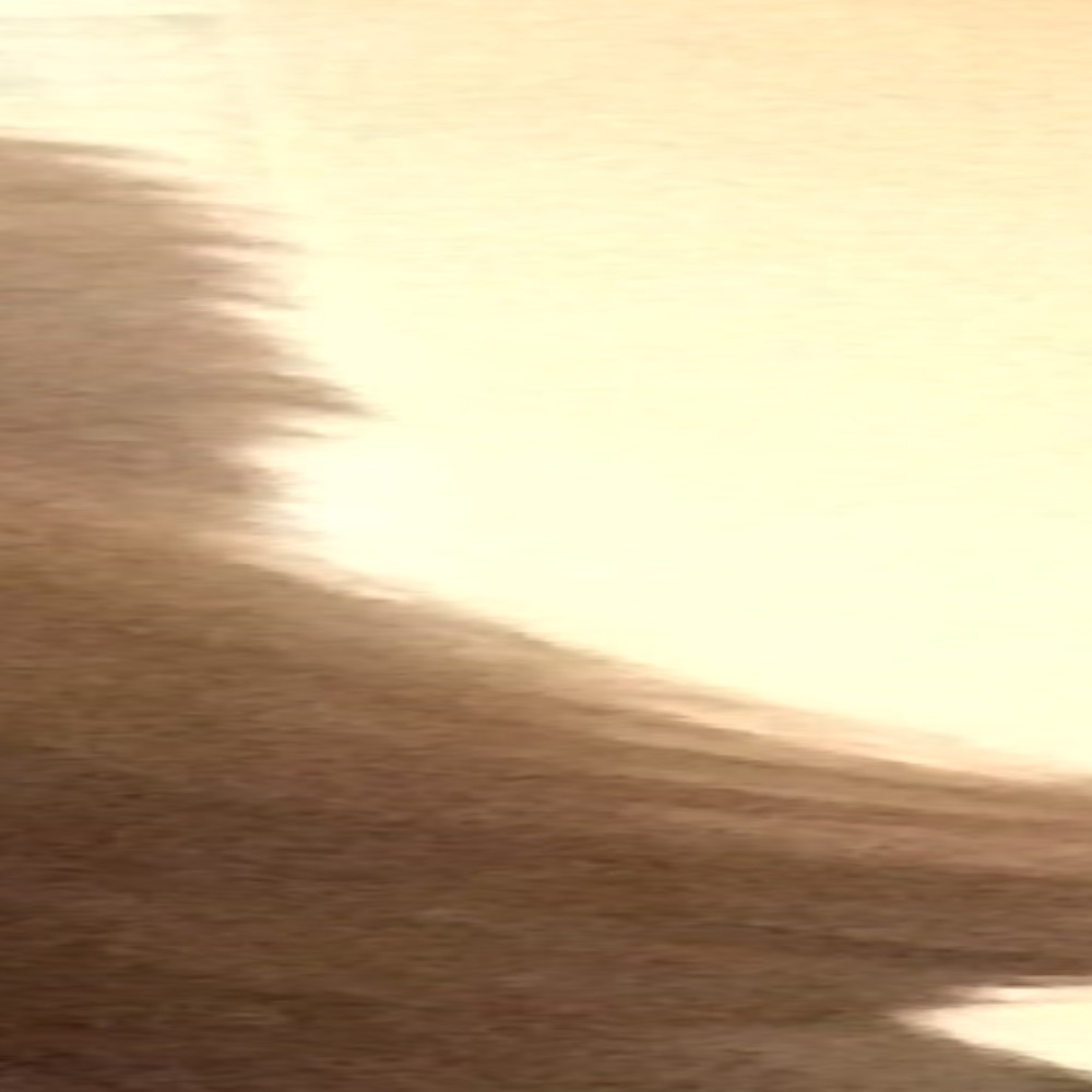 Meet your Posher, Elaine